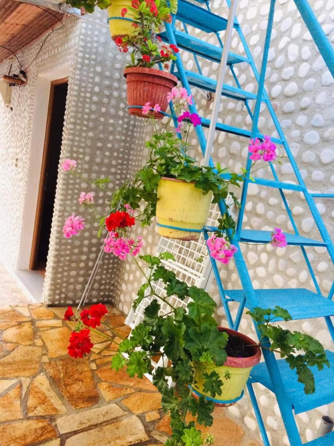 Relaxation Place Himare Luaran gambar